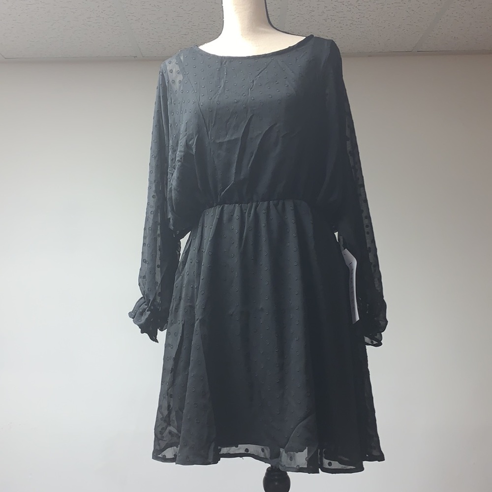 NWOT Lumiere Swiss Dot long Sleeve Dress